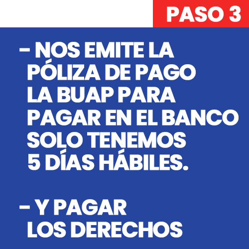 3 (7)